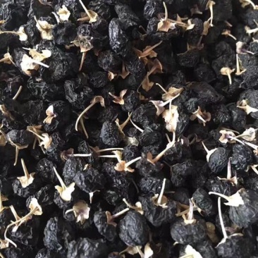 黑枸杞干货头茬