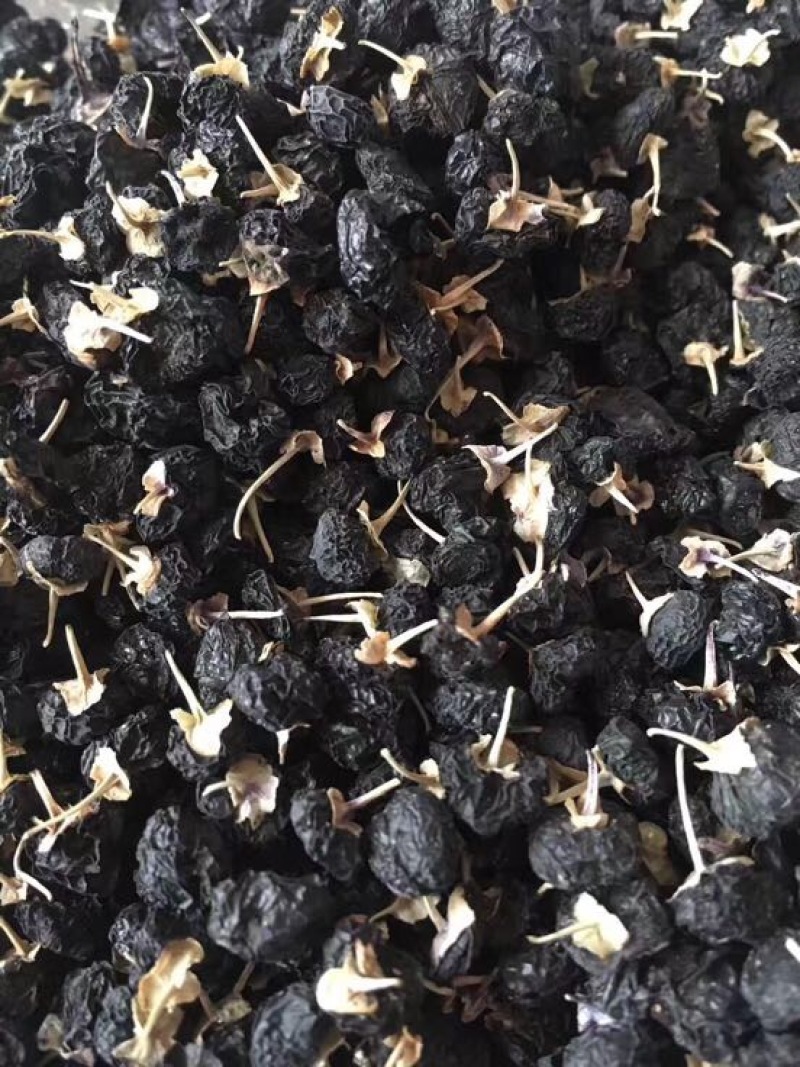 黑枸杞干货头茬