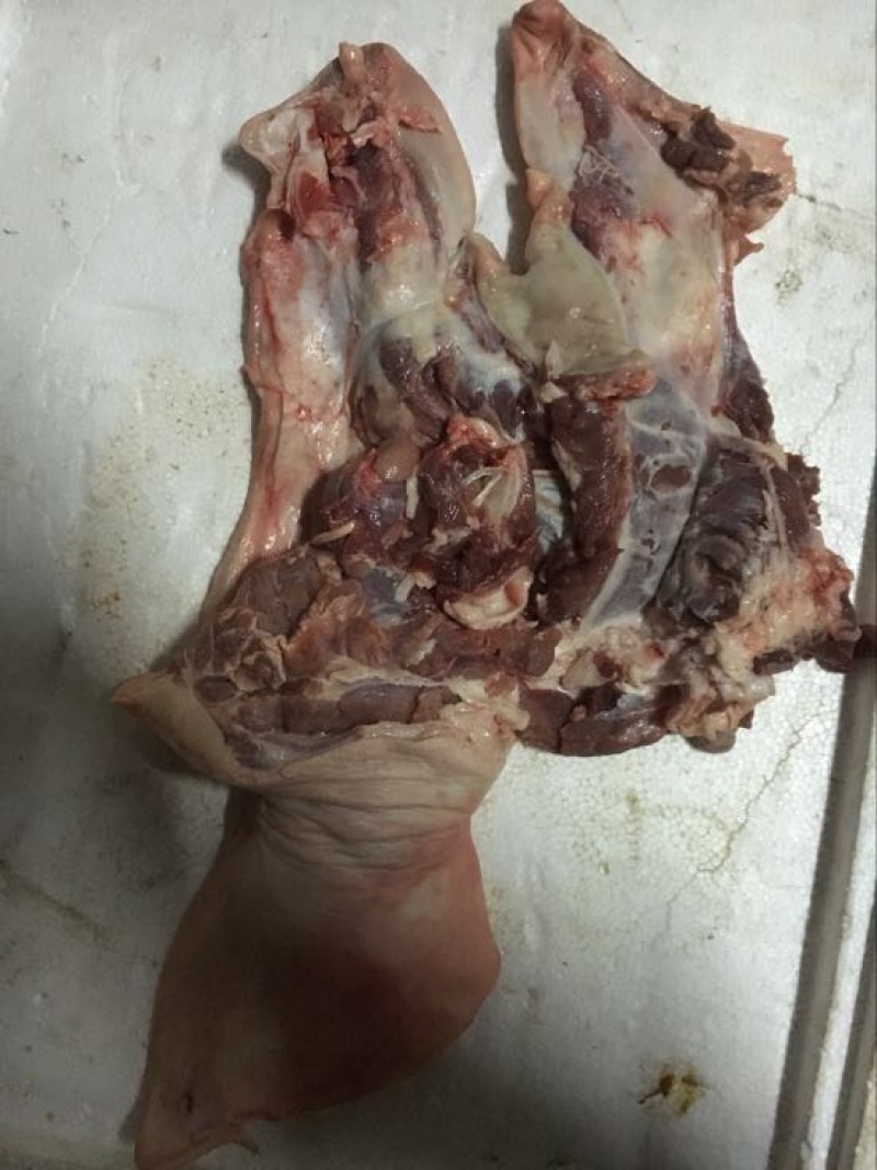 猪头肉包装