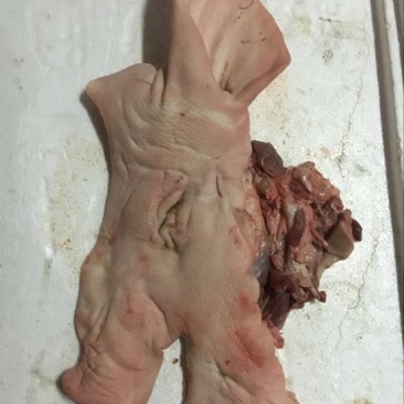 猪头肉包装