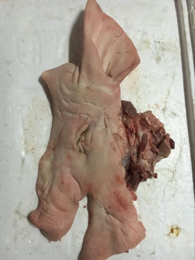 猪头肉包装