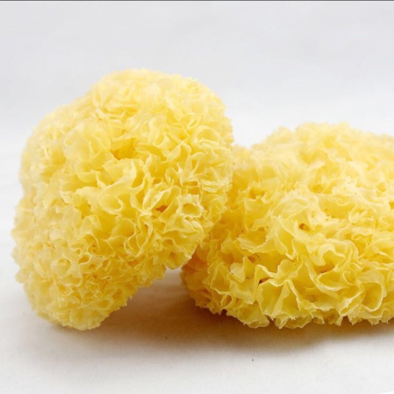 银耳特级