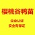 樱桃谷肉鸭苗60~70克统货