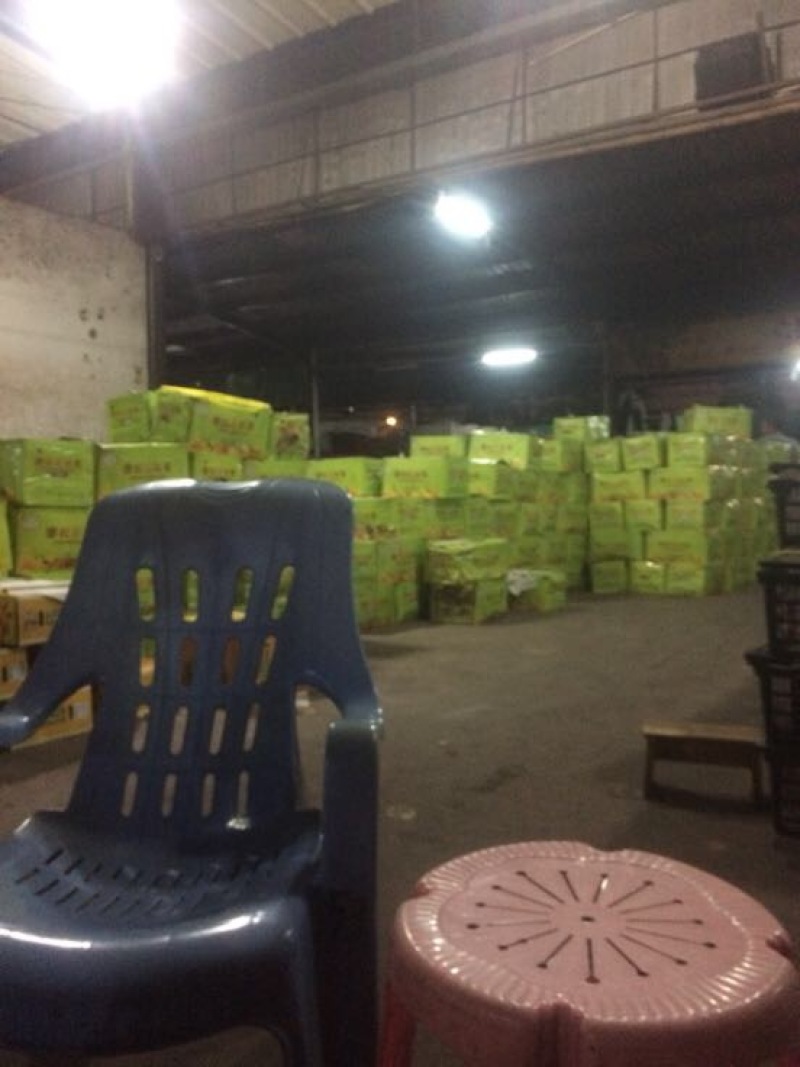 【精选】广东芒果商场品质量大优惠可视频看货