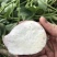商薯19白心3两以上