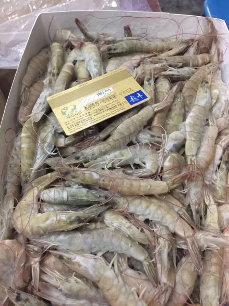 南美白对虾食用冻虾