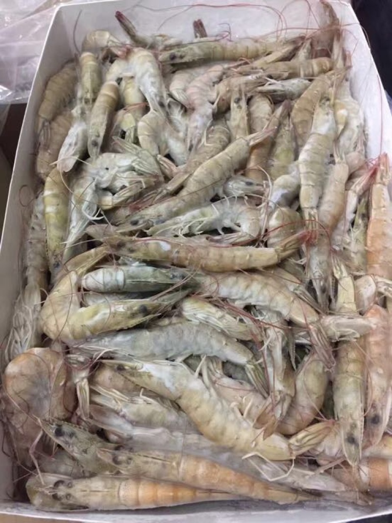 南美白对虾食用冻虾
