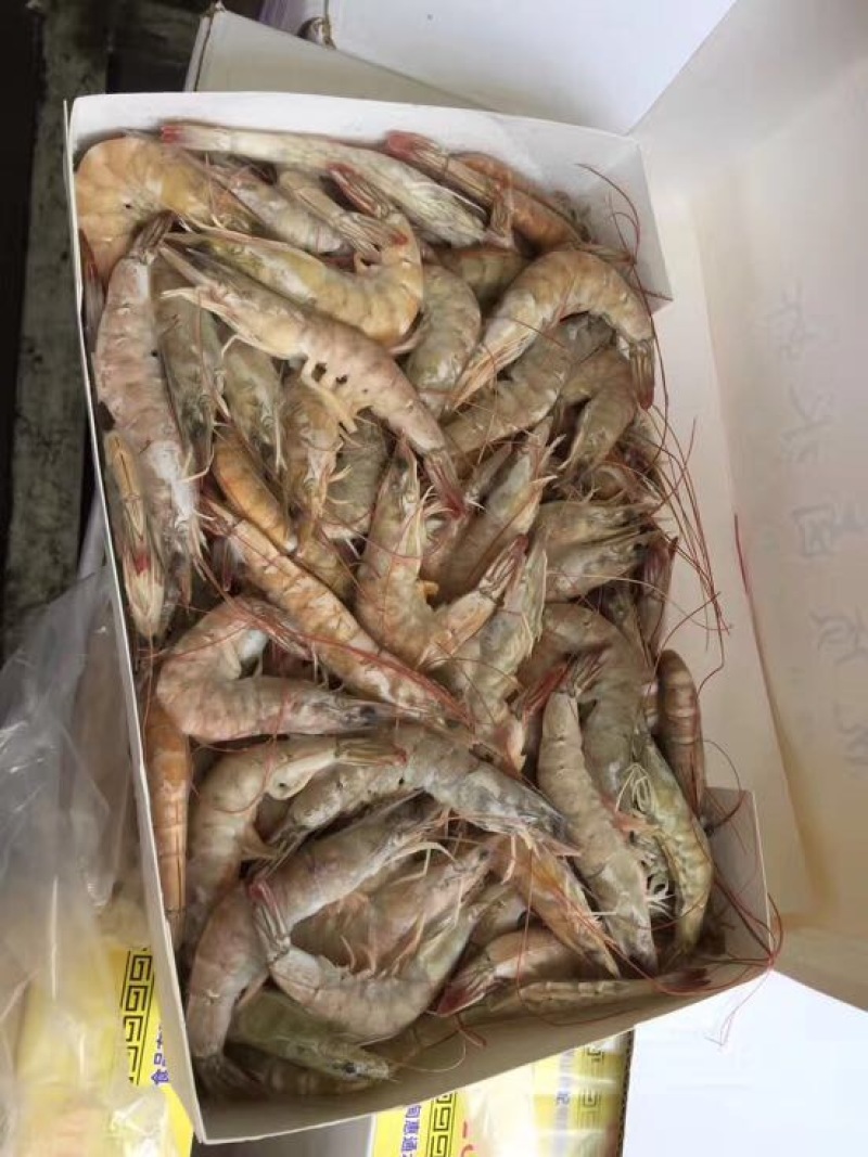 南美白对虾食用冻虾