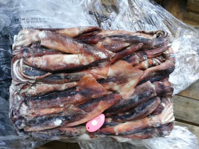 鱿鱼食用冰冻