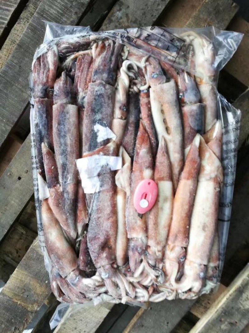 鱿鱼食用冰冻