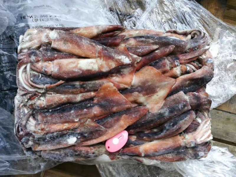 鱿鱼食用冰冻