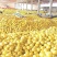 平和蜜柚红心蜜柚三红柚落地配一件代发新鲜水果