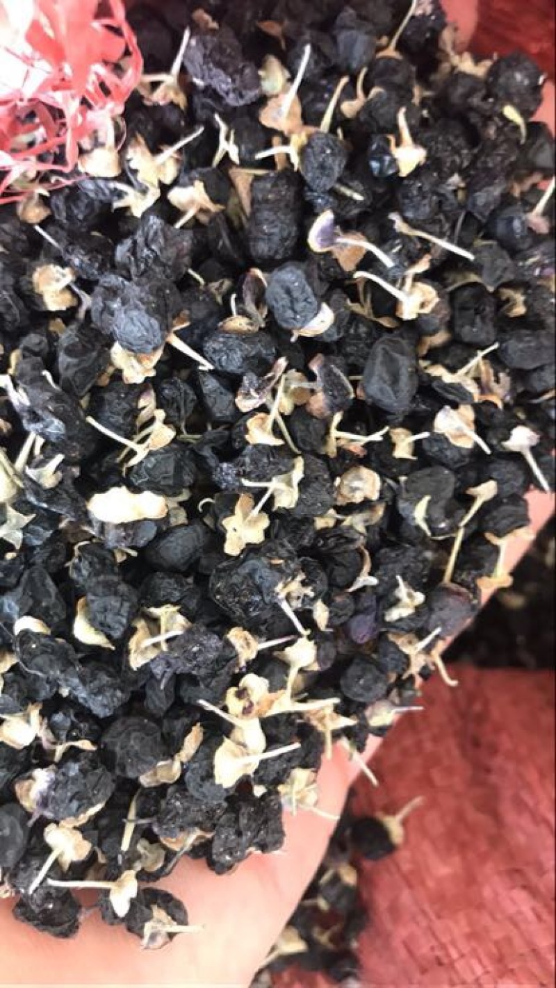 黑枸杞干货头茬