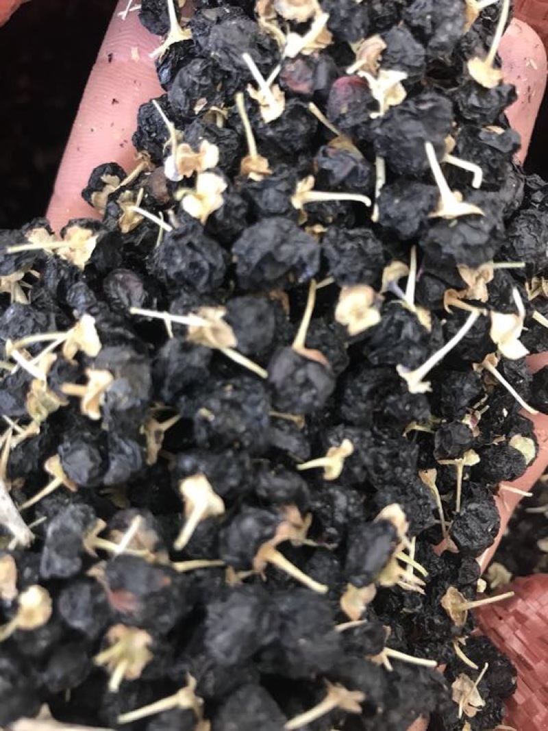 黑枸杞干货头茬