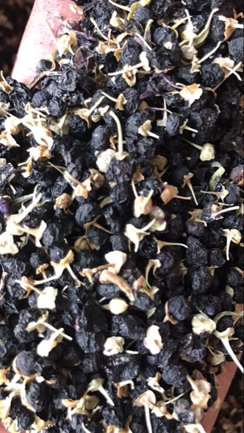 黑枸杞干货头茬