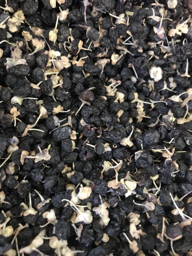黑枸杞干货头茬