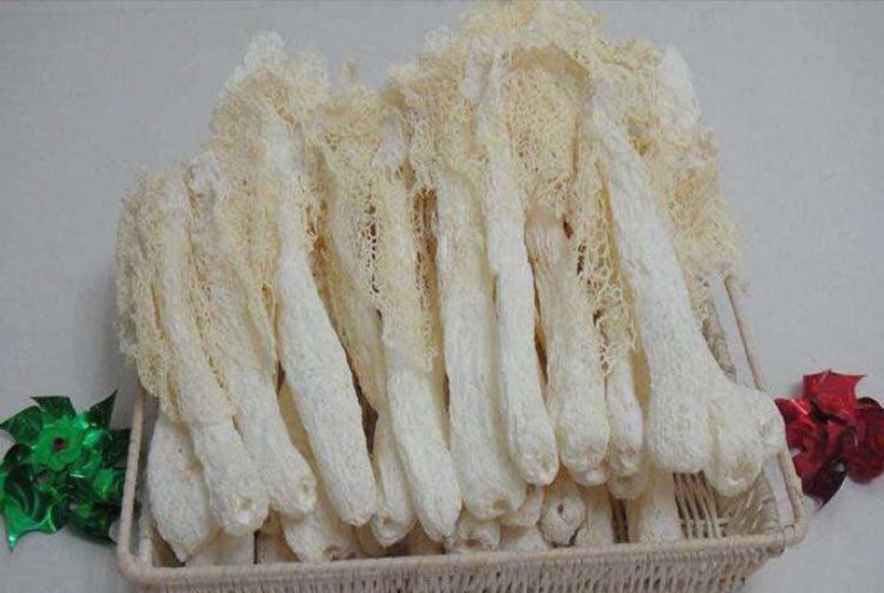 长裙竹荪一级