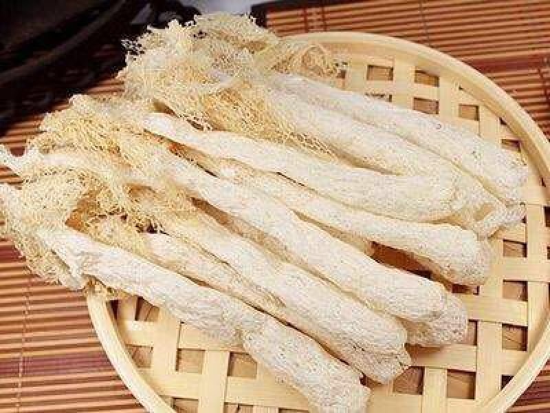长裙竹荪一级