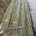 【希望竹业】竹竿竹片菜架竹大棚竹支撑杆竹旗杆竹条竹制品