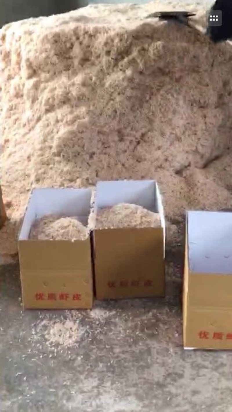 虾皮三级
