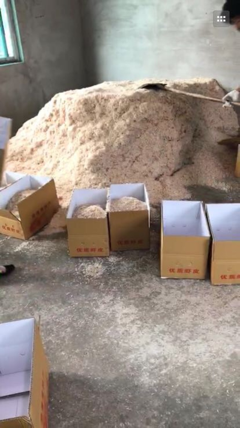 虾皮三级