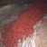 山西忻州鲜辣椒15~20厘米红中辣大量供应产地直发