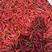 山西忻州鲜辣椒15~20厘米红中辣大量供应产地直发