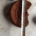 灵芝25~30公分