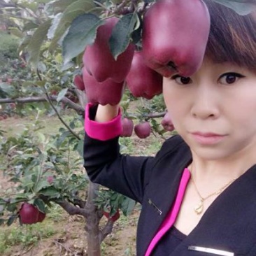 蛇果85mm以上膜袋