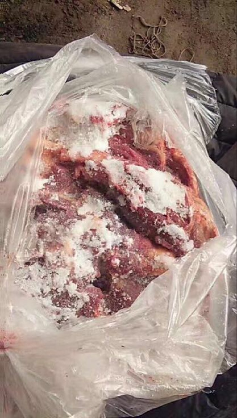 马肉冷冻