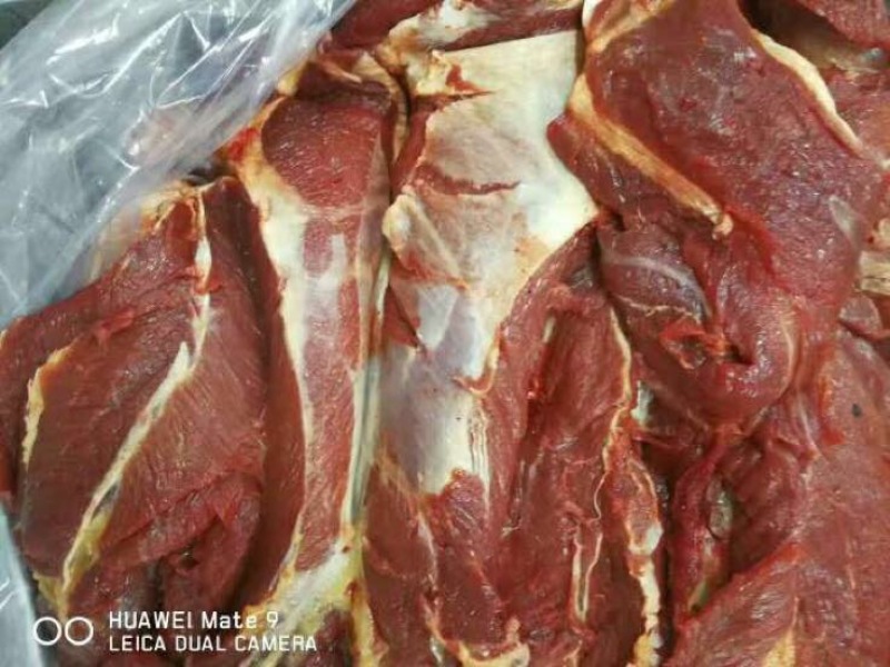 马肉冷冻