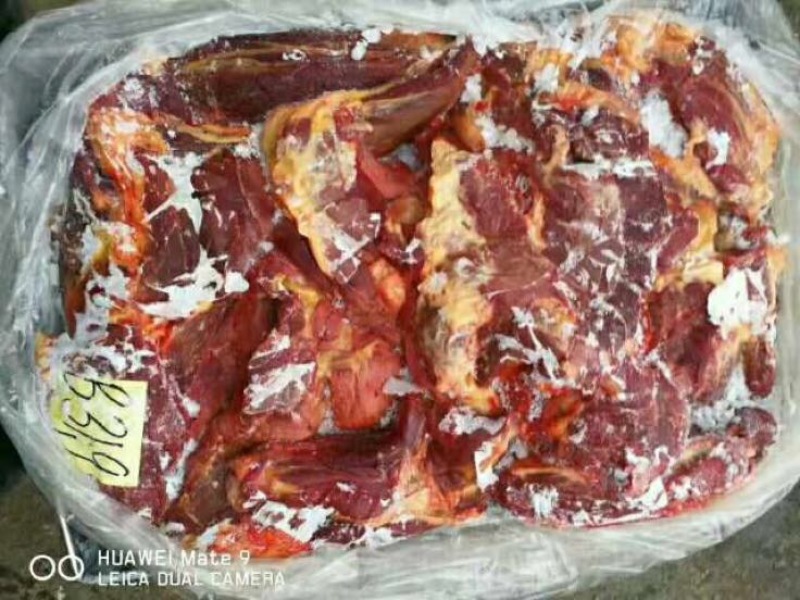 马肉冷冻