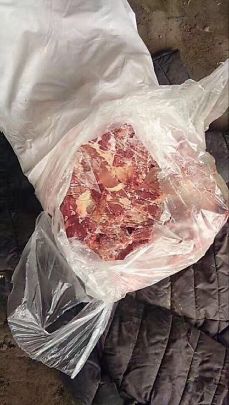 马肉冷冻