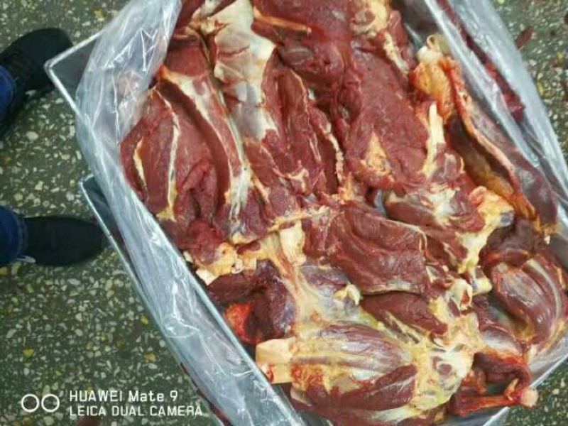马肉冷冻