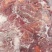 马肉冷冻