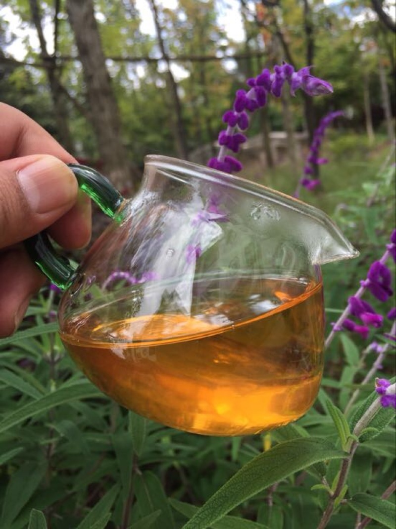 普洱茶一级