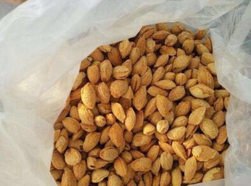 新疆巴旦木散装