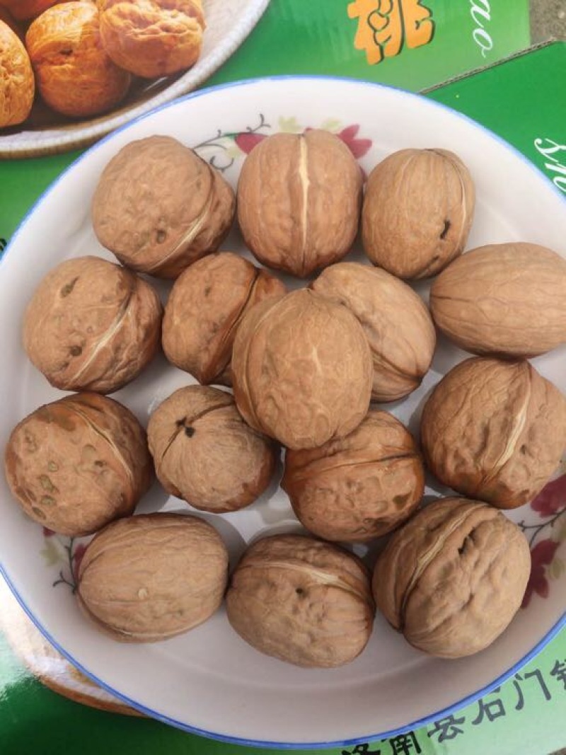 薄皮核桃30mm以上去皮干