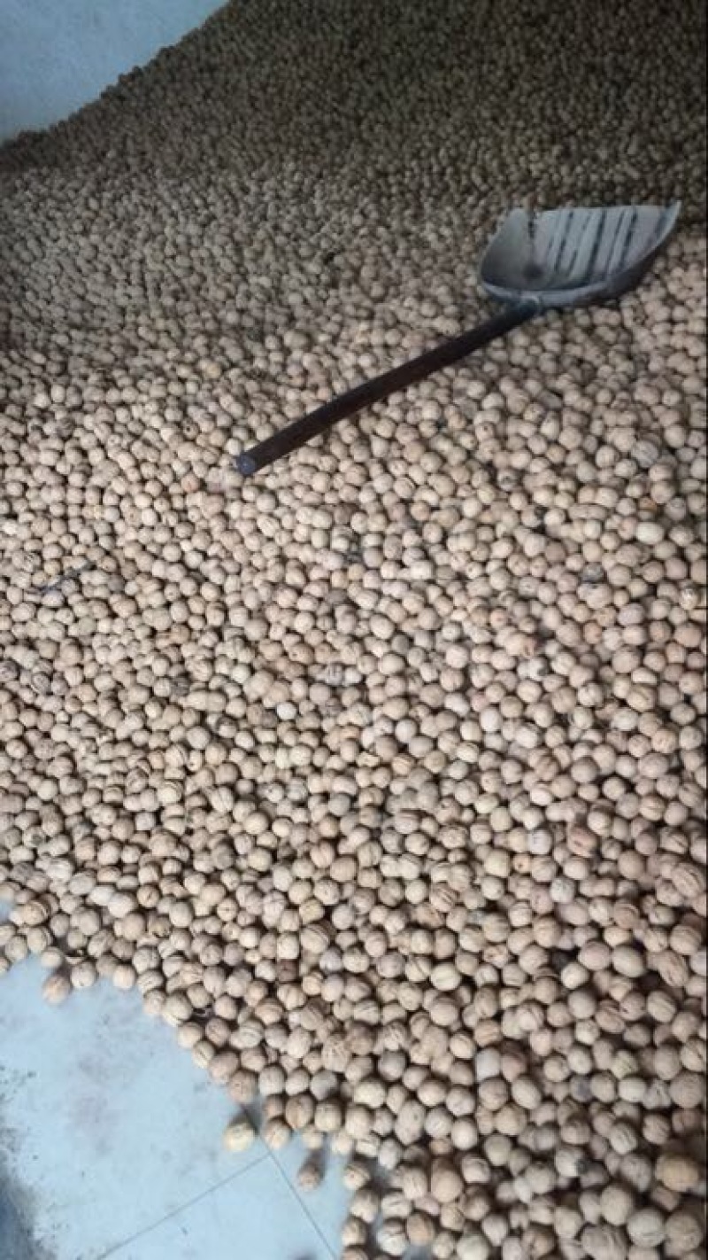 薄皮核桃30mm以上去皮干