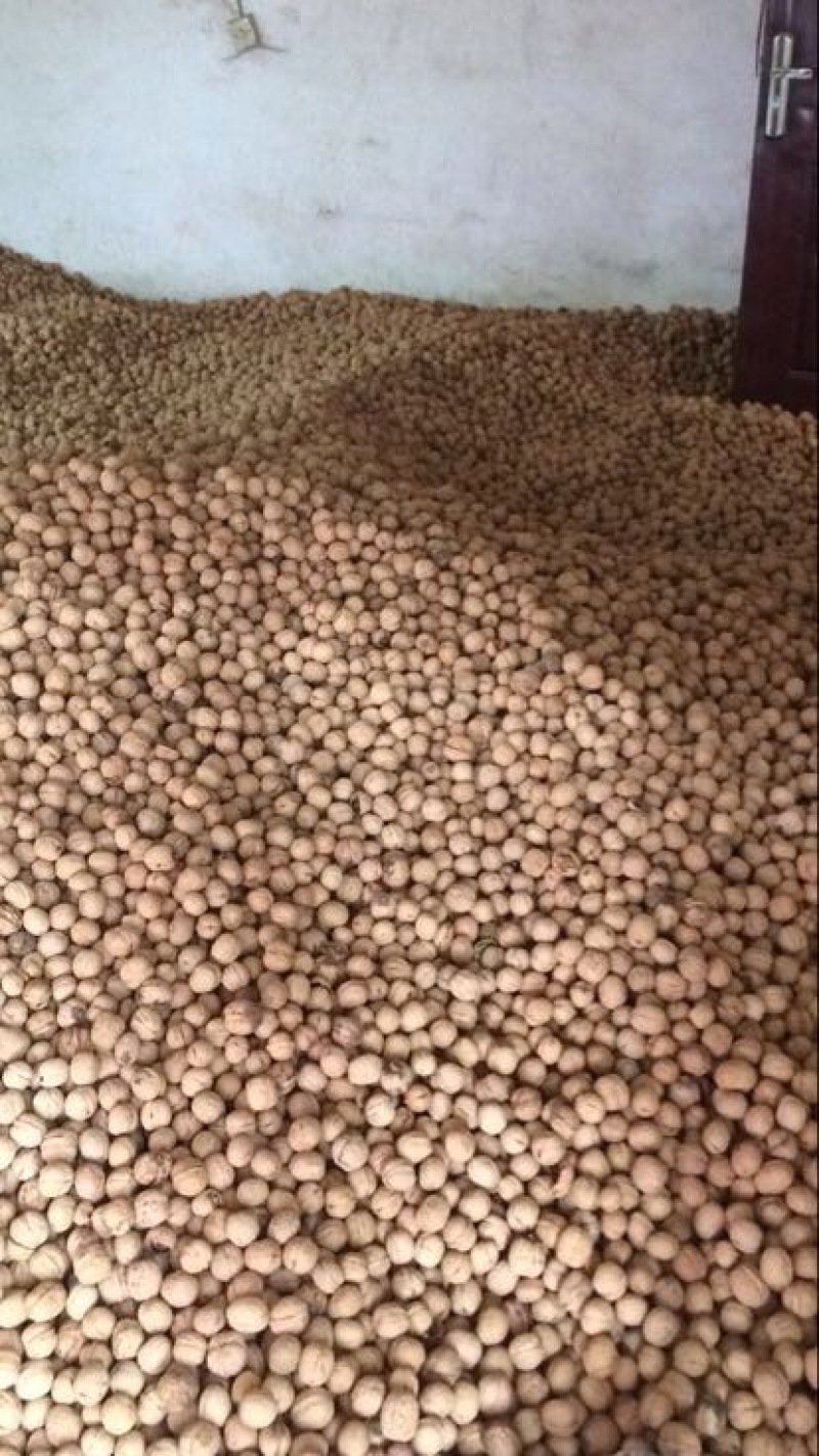 薄皮核桃30mm以上去皮干