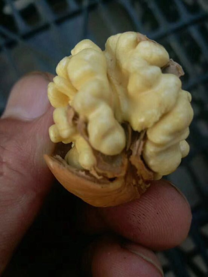 薄皮核桃30mm以上去皮干