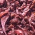 牛肉干黄牛肉冻库肉