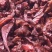 牛肉干黄牛肉冻库肉