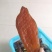 炸薯片原味
