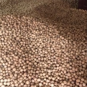 薄皮核桃30mm以上去皮干
