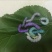 蚕