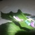 蚕