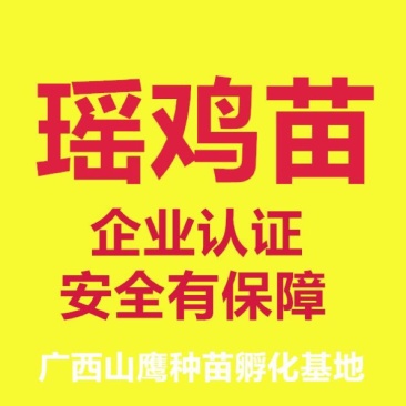 瑶鸡苗