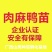 麻鸭苗公苗出壳苗