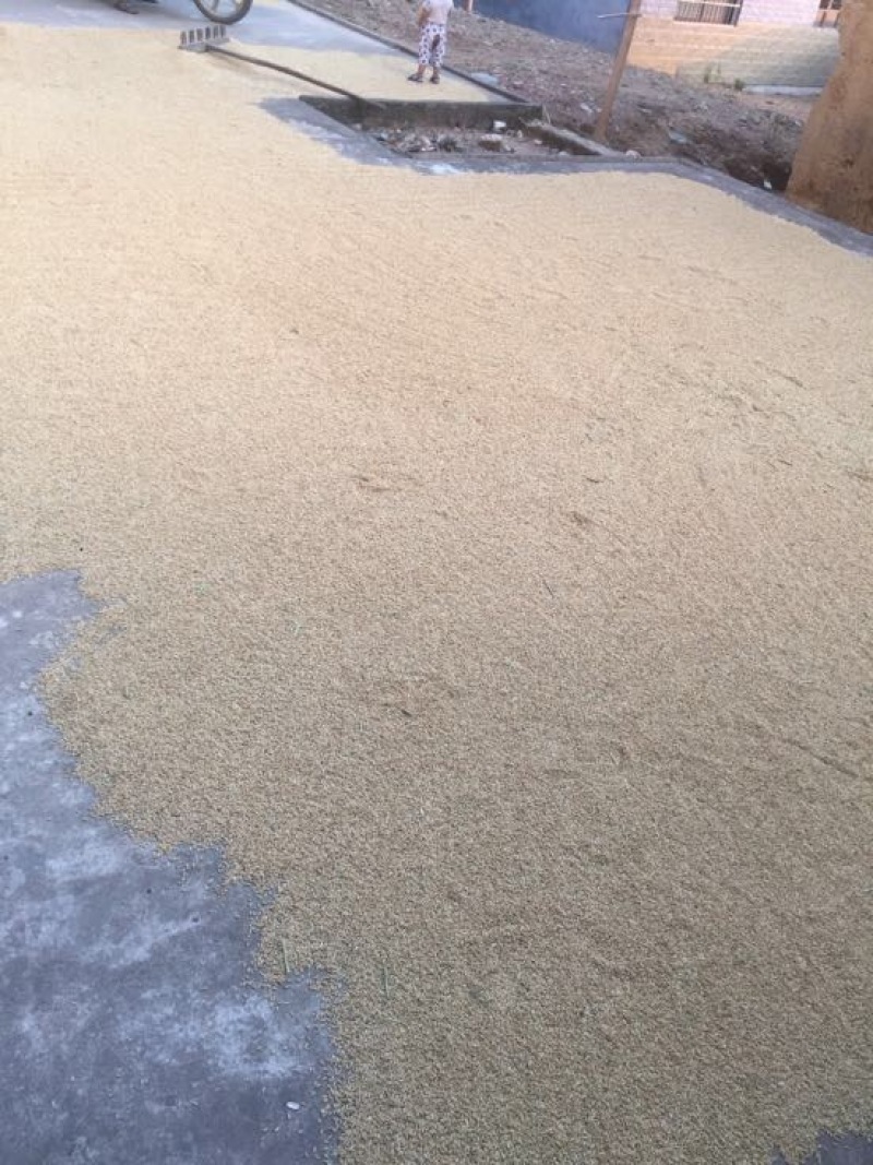 稻壳